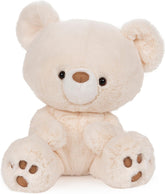 Cuddly Nest: Kai Teddy Bear, Premium Plush Toy Stuffed Animal for Ages 1 & Up, Rainbow, 12"